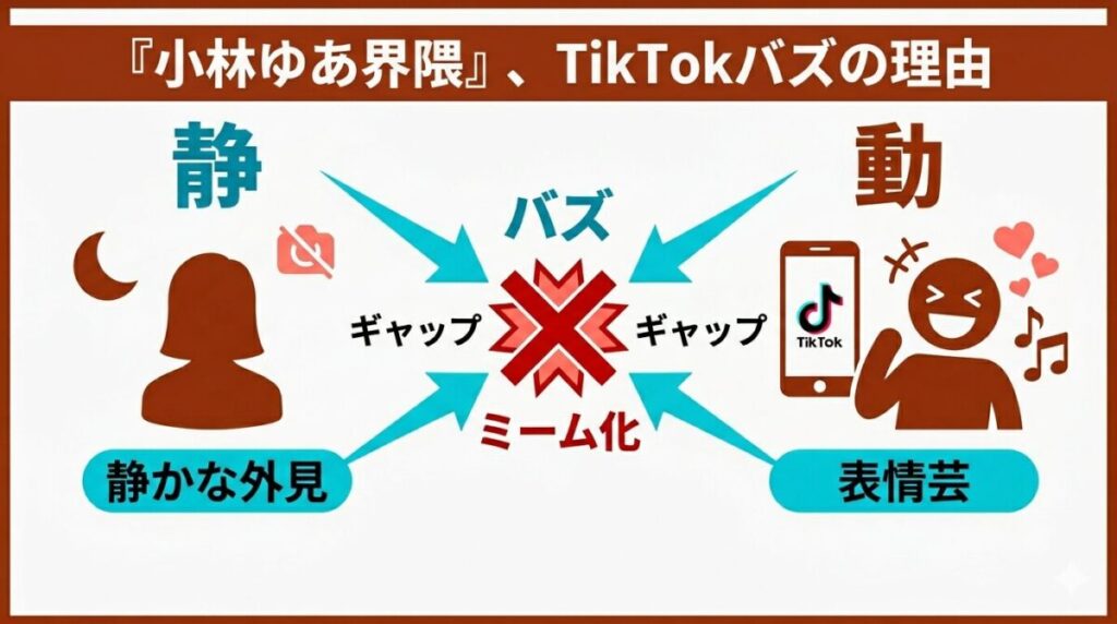 TikTokで大流行している小林ゆあ界隈のミーム化の要因である表情芸と静かな外見のギャップの相関を図解した構成図